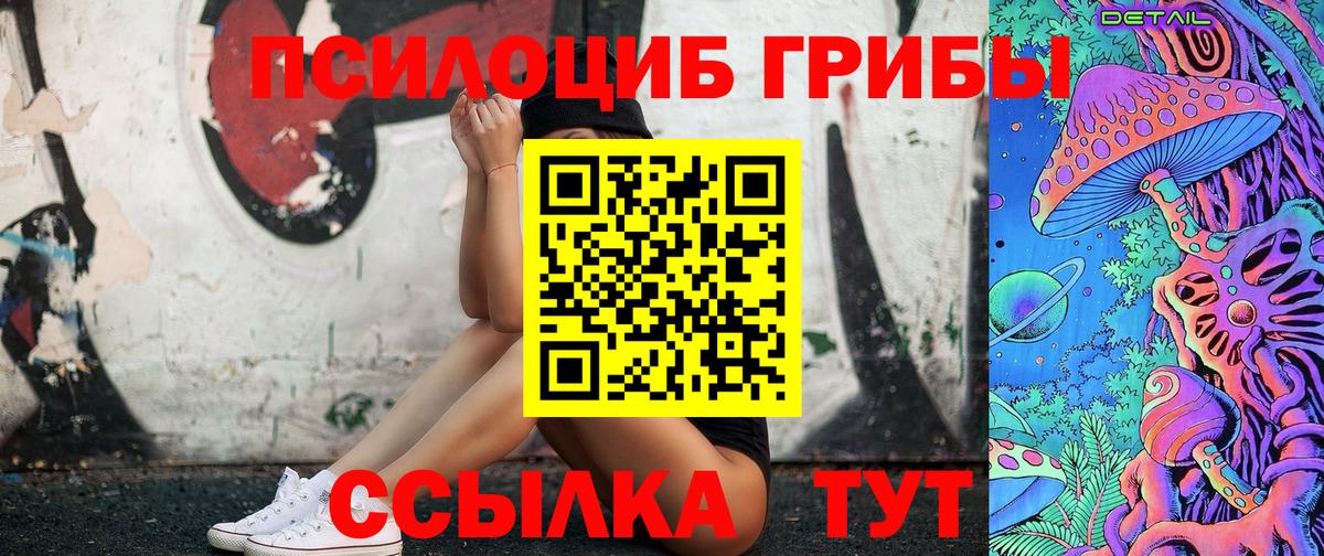 Псилоцибиновые грибы Psilocybine cubensis Ачхой-Мартан
